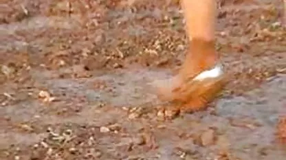 اسب سکس سفید عربی چوبی